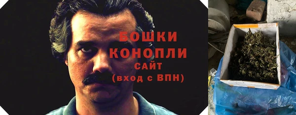 молекула духа Богданович
