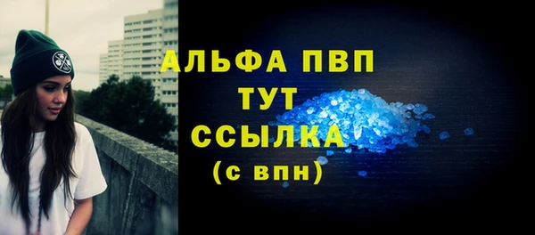 бошки Белокуриха