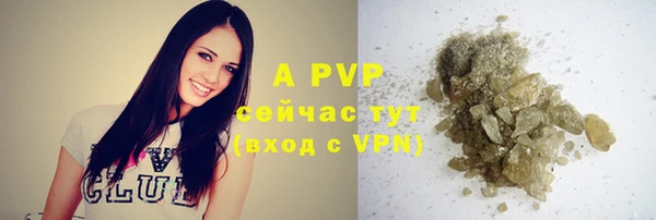 стафф Белоозёрский