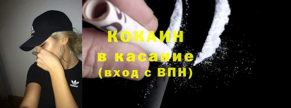 бошки Белокуриха