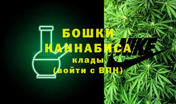 бошки Белокуриха
