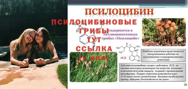 кокаин колумбия Богородицк
