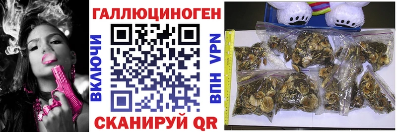 Галлюциногенные грибы мухоморы Купить где Питкяранта