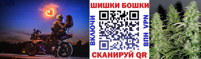 Купить закладки  Питкяранта  Канабис OG Kush 